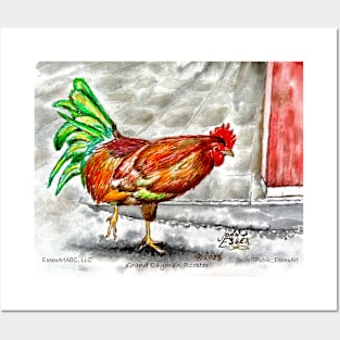 Grand Cayman Rooster Posters and Art